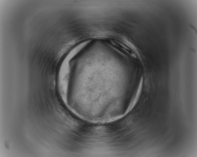 X0000101650059200807241404