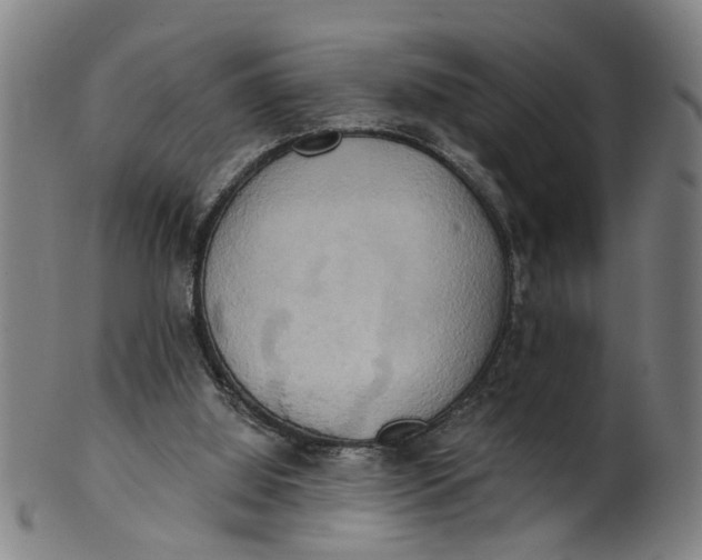 X0000101650060200807241404