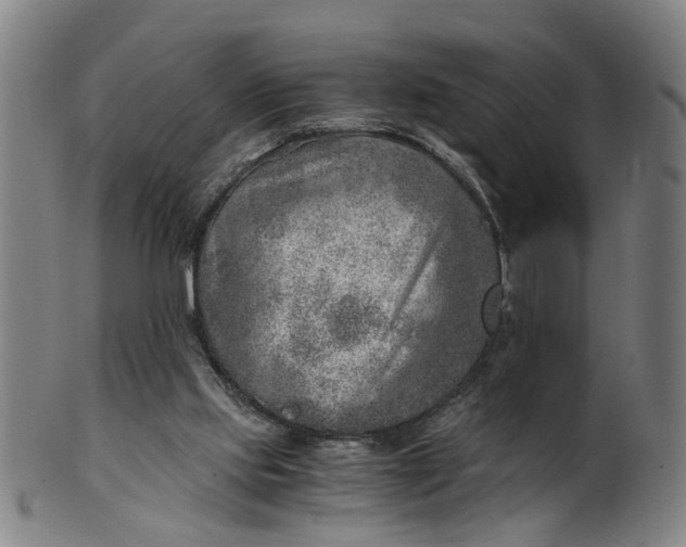 X0000101650061200807241404