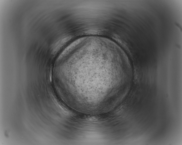 X0000101650062200807241404