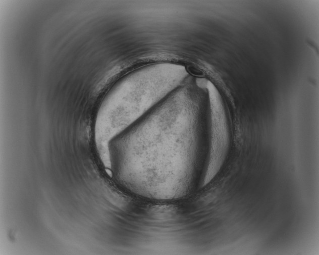 X0000101650063200807241404
