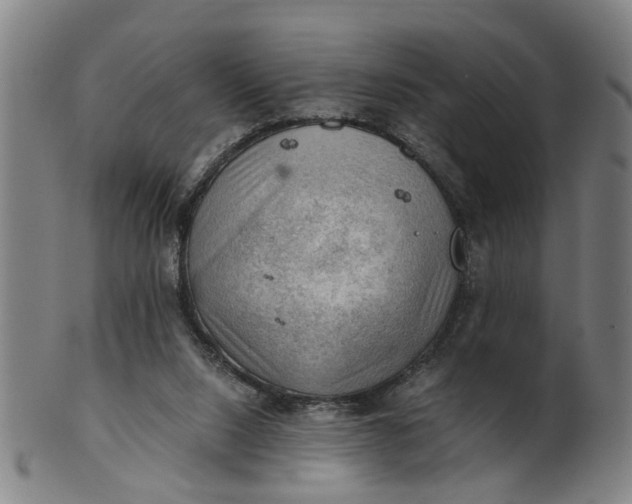 X0000101650064200807241404
