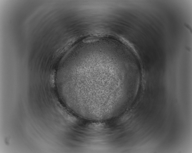 X0000101650065200807241404