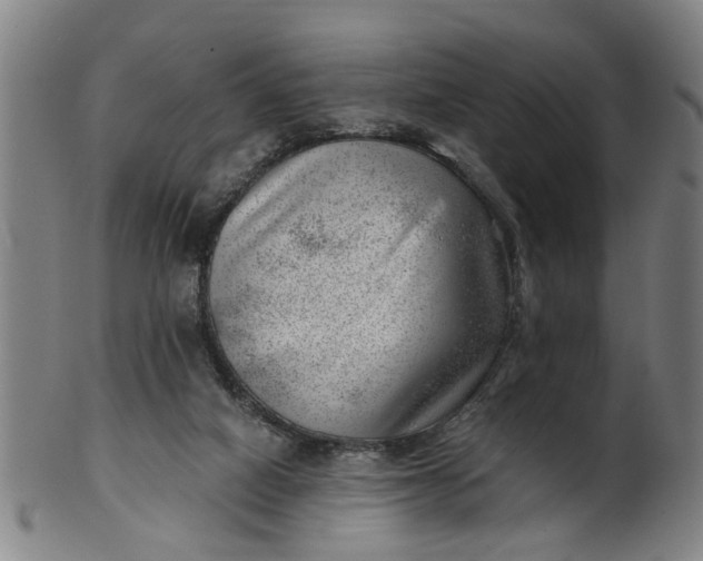 X0000101650066200807241404