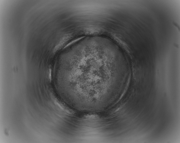 X0000101650067200807241404