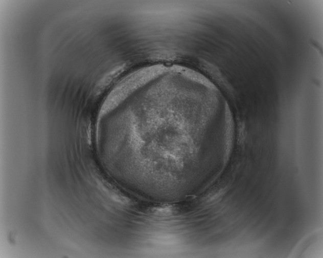 X0000101650068200807241404