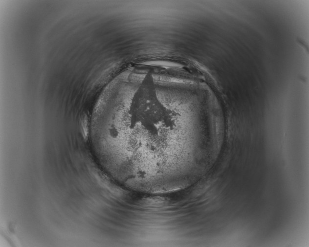 X0000101650069200807241404