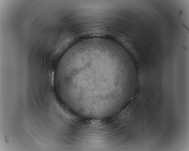 X0000101650070200807241404