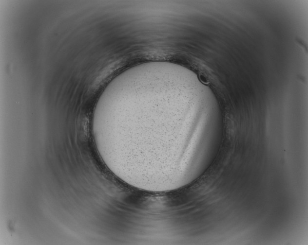 X0000101650071200807241404