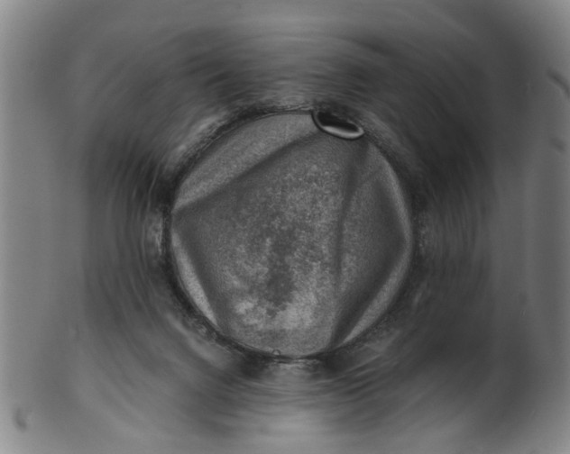 X0000101650072200807241404