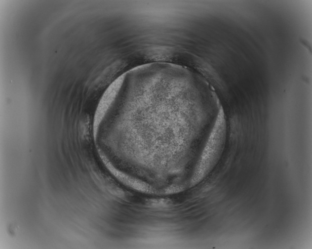 X0000101650073200807241404