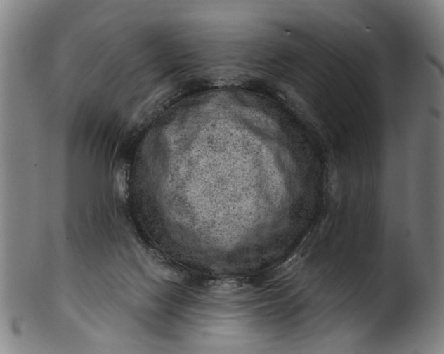 X0000101650074200807241405