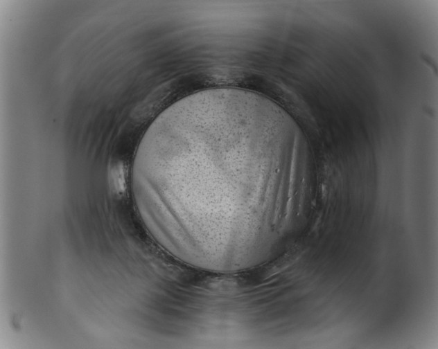 X0000101650075200807241405