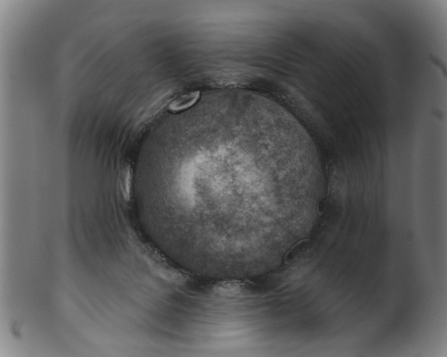 X0000101650076200807241405