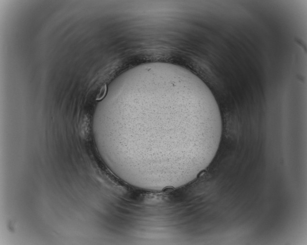 X0000101650077200807241405