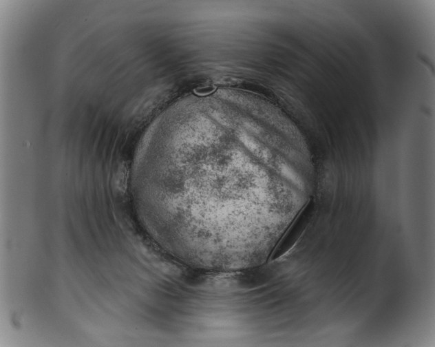 X0000101650078200807241405