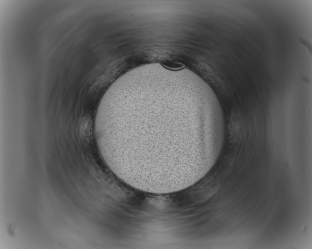 X0000101650079200807241405