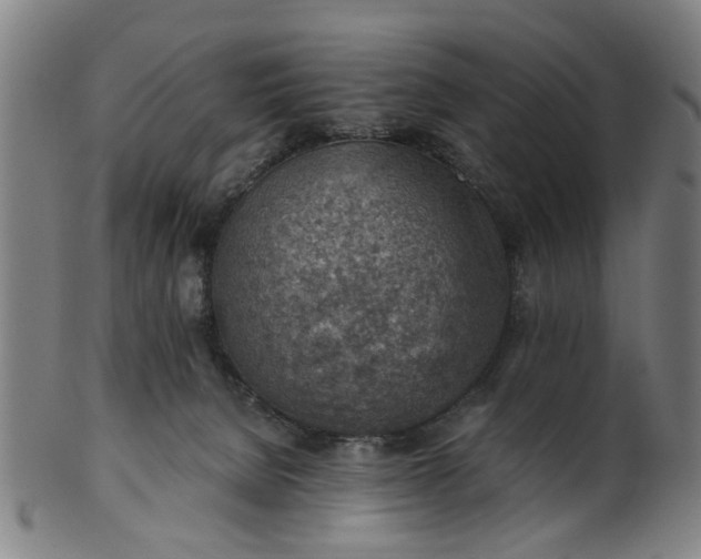 X0000101650080200807241405
