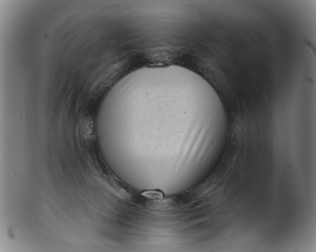 X0000101650081200807241405