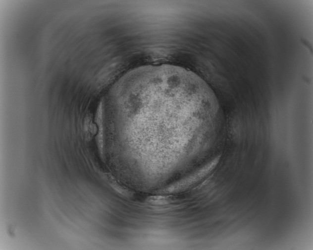 X0000101650082200807241405