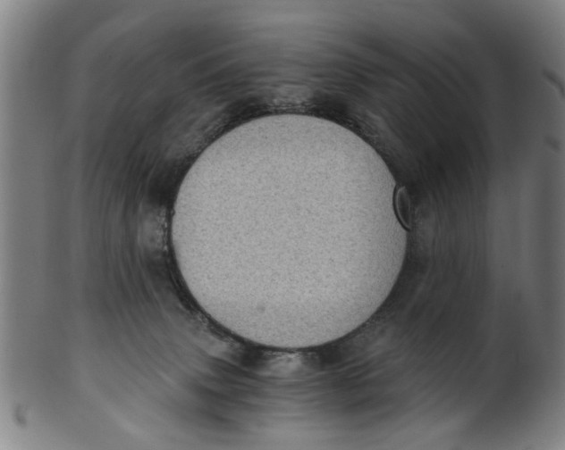 X0000101650083200807241405