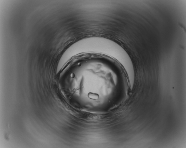 X0000101650084200807241405