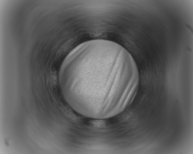 X0000101650085200807241405