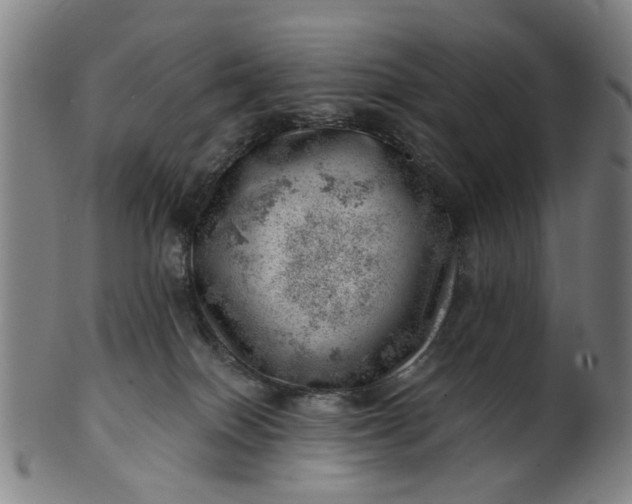 X0000101650086200807241405