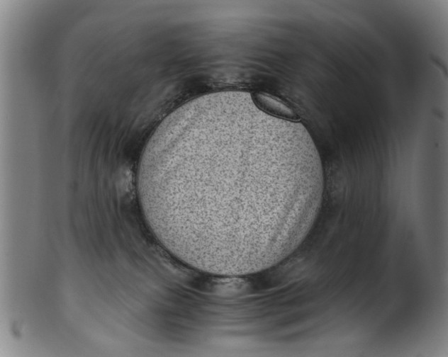 X0000101650087200807241405