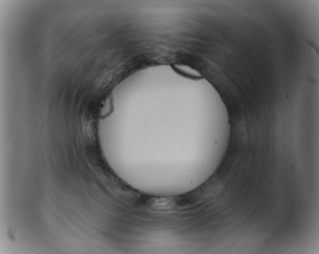 X0000101650088200807241405