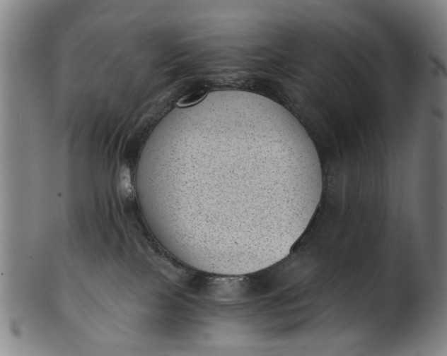 X0000101650089200807241405