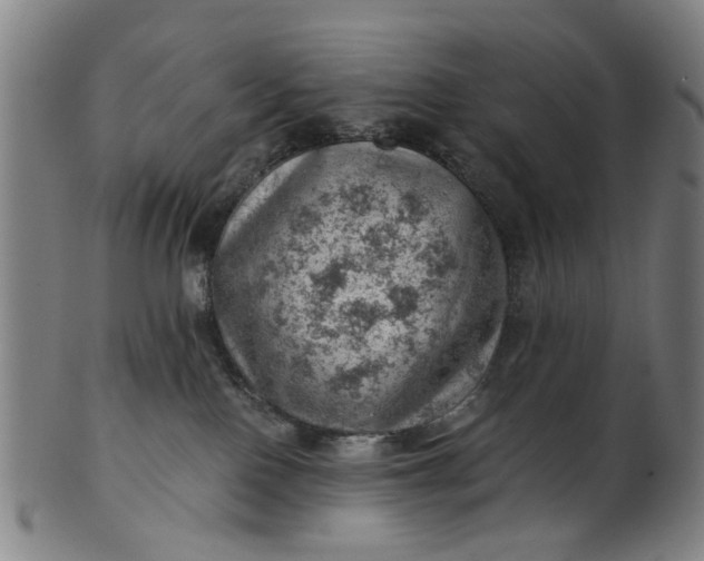X0000101650090200807241405
