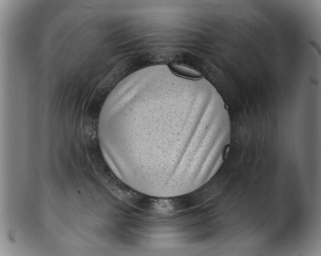 X0000101650091200807241405