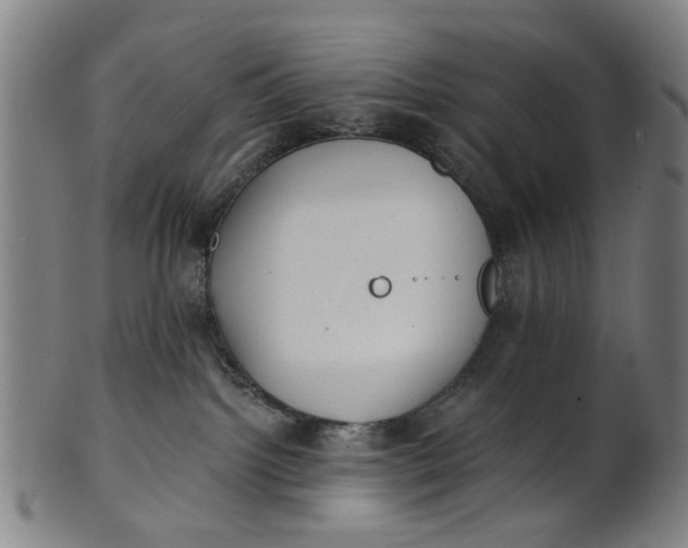 X0000101650092200807241405
