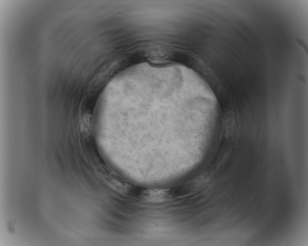 X0000101650093200807241405