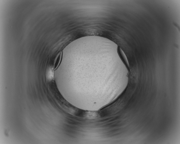X0000101650095200807241405
