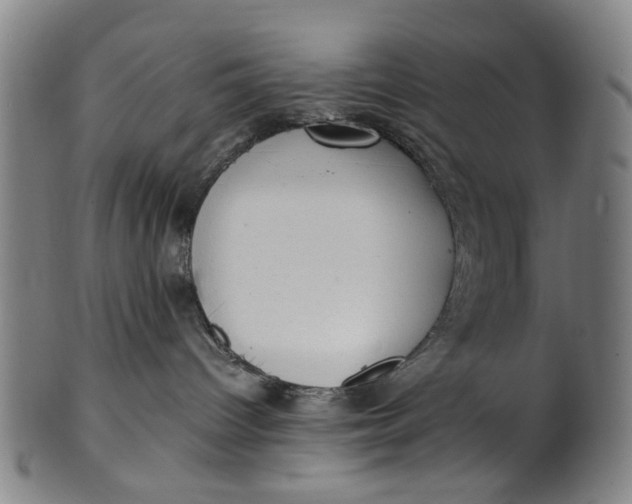 X0000101650096200807241405