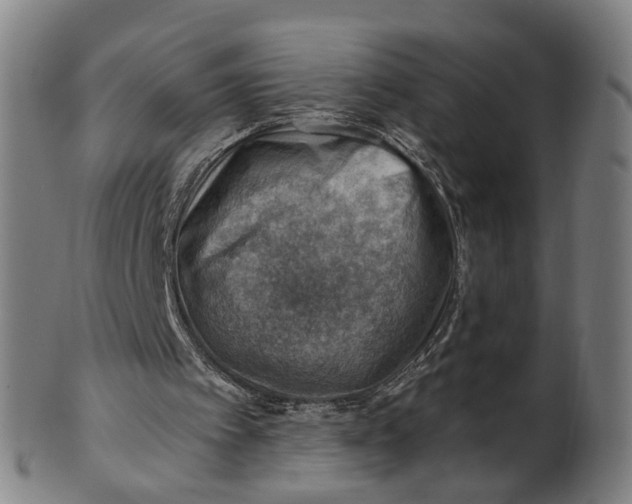 X0000101650097200807241404