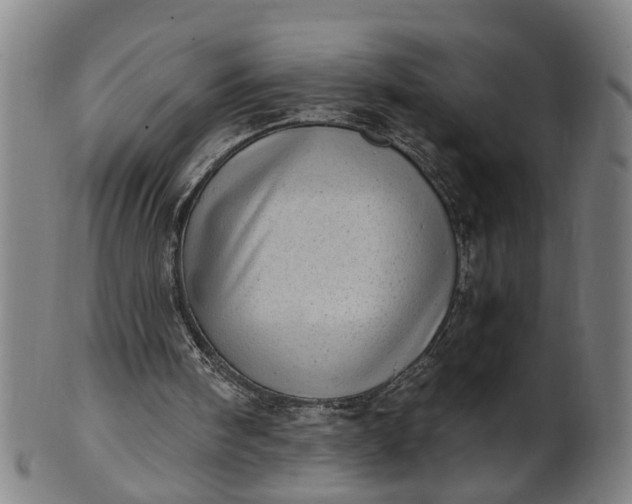 X0000101650098200807241404