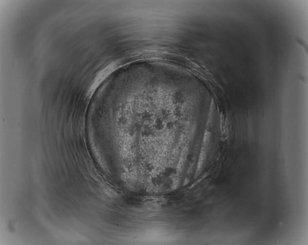 X0000101650099200807241404