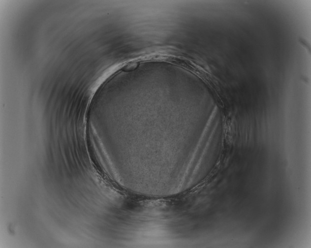 X0000101650100200807241404
