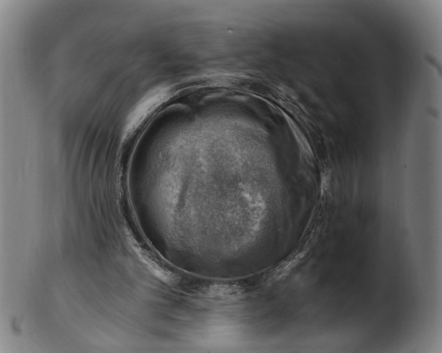 X0000101650101200807241404