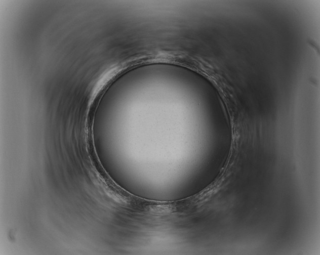 X0000101650102200807241404