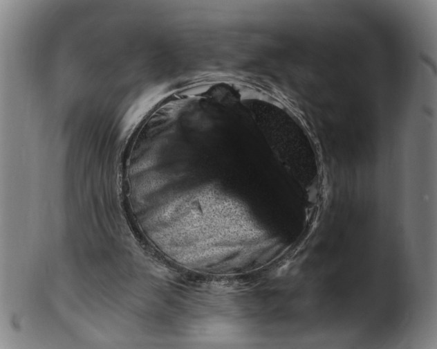 X0000101650103200807241404