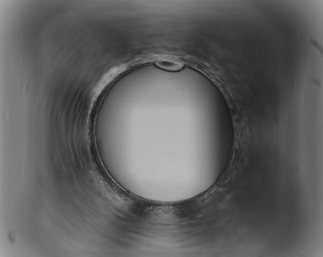 X0000101650104200807241404