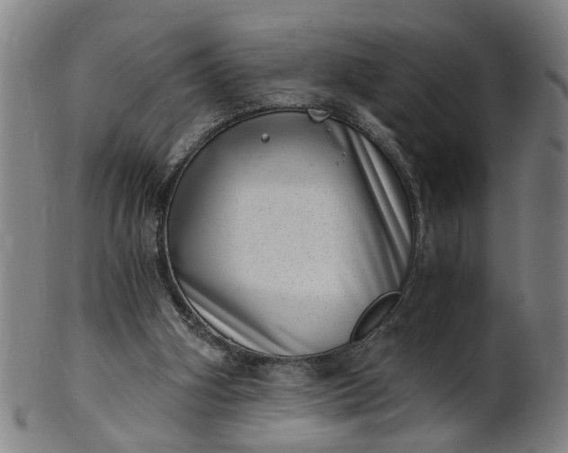 X0000101650106200807241404