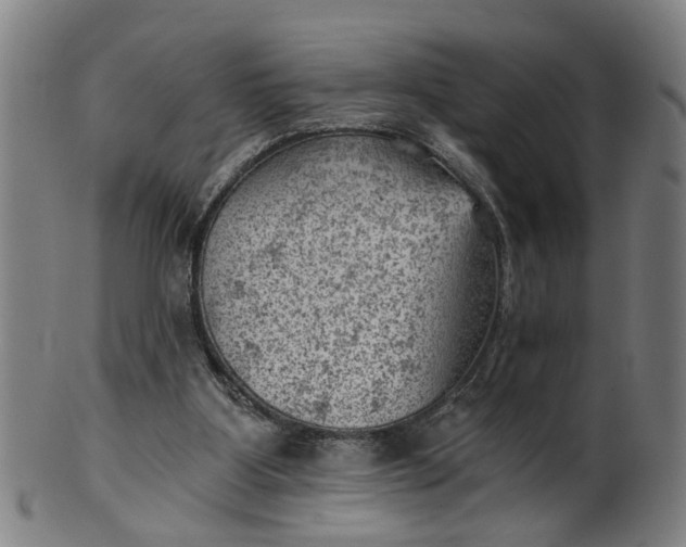 X0000101650107200807241404