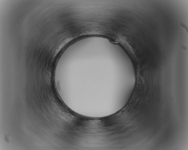 X0000101650108200807241404