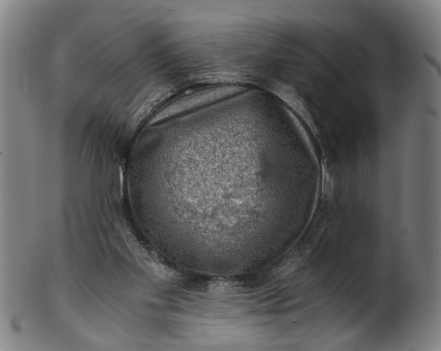 X0000101650109200807241404