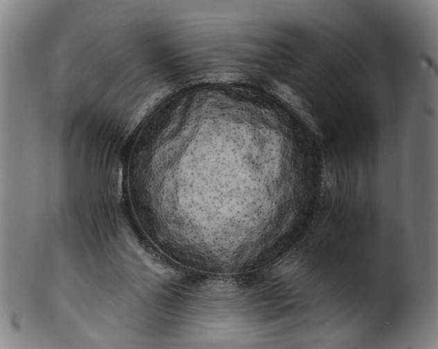X0000101650110200807241404